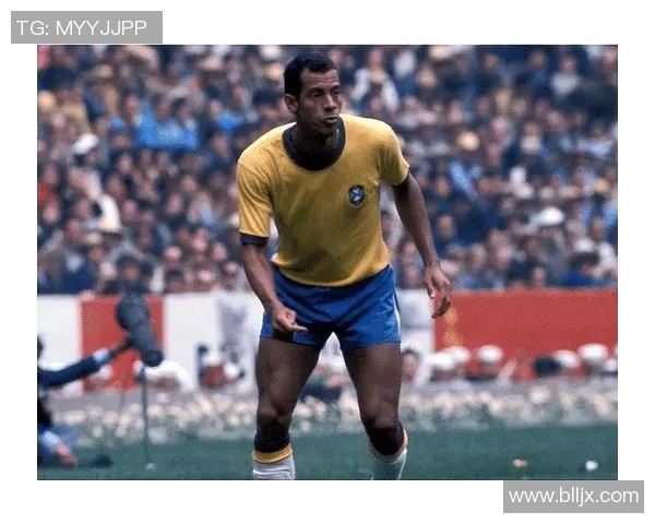 足球明星们的碎钉鞋之路那些闪耀的足坛传奇与他们的选择 足球明星们的碎钉鞋之路那些闪耀的足坛传奇与他们的选择