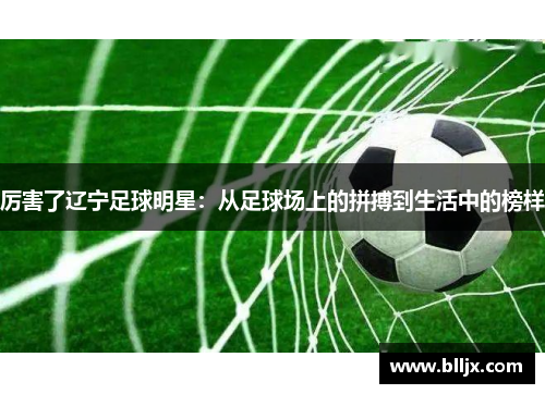 厉害了辽宁足球明星：从足球场上的拼搏到生活中的榜样
