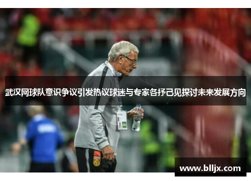 武汉网球队意识争议引发热议球迷与专家各抒己见探讨未来发展方向