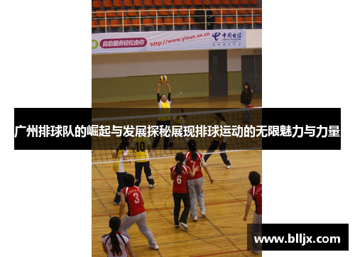 广州排球队的崛起与发展探秘展现排球运动的无限魅力与力量